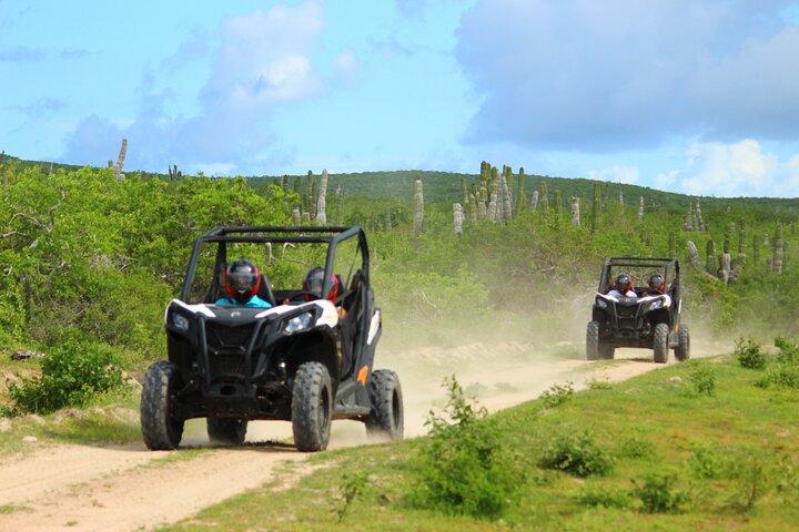 Viper Trail UTV Small-Group Experience in Cabo San Lucas