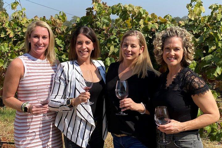 Sonoma County Join-In Group Wine Tasting Tours