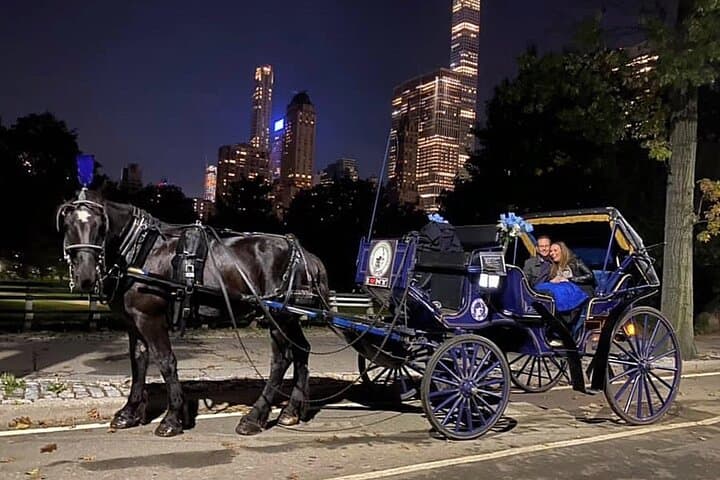Central Park Carriage Ride w/ Drop Off @ Tavern On Green (45 min)