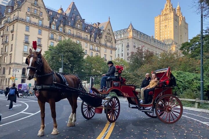 Central Park Carriage Ride w/ Drop Off @ Tavern On Green (45 min)