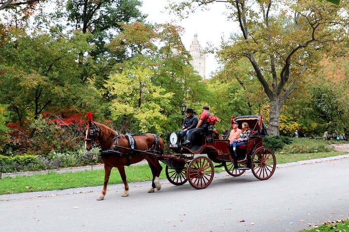 Central Park Carriage Ride w/ Drop Off @ Tavern On Green (45 min)