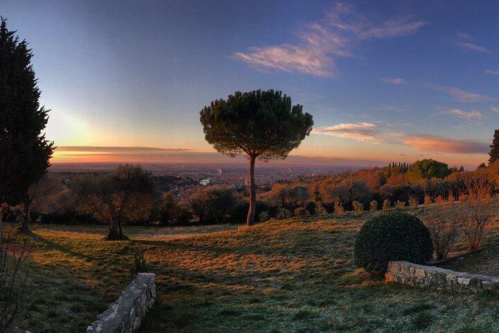 Wine Tasting with Panoramic View