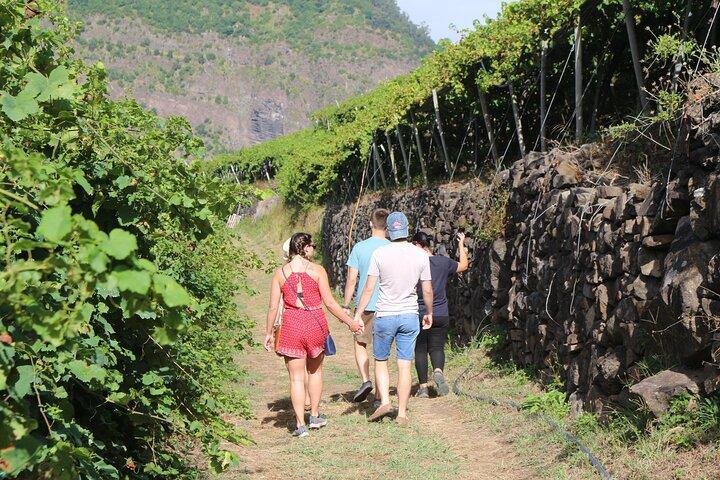 Madeira Island Private Wine Full Day Tour in All Terrain Vehicle