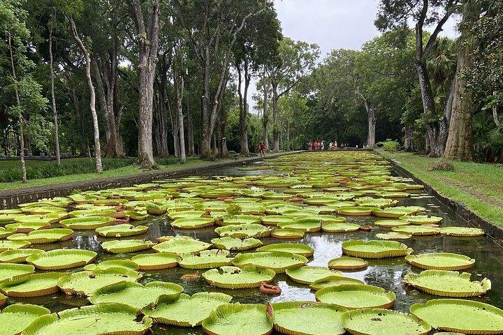 Mauritius full day : Private north tour
