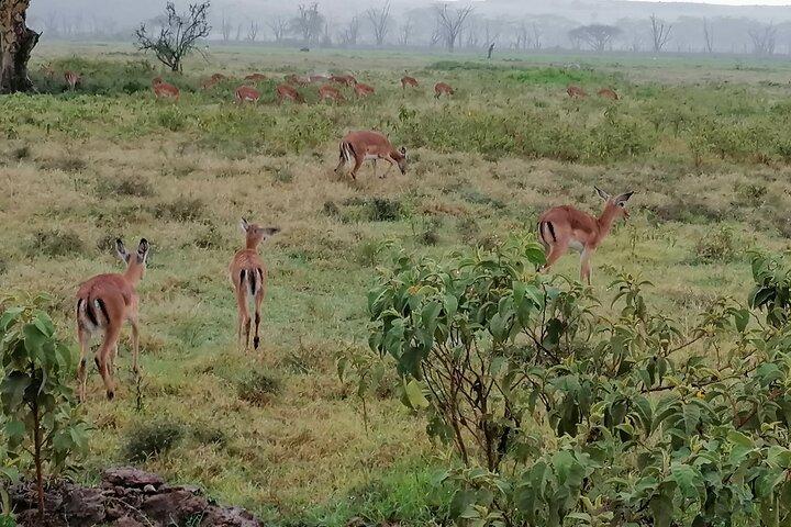 Hell's Gate National Park Private Bike Tour from Nairobi