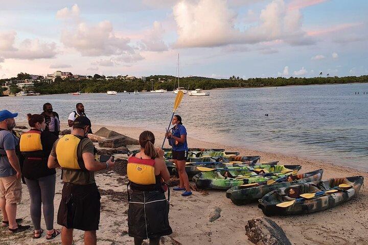 Fajardo Bioluminescent Bay Night Kayak Adventure from San Juan