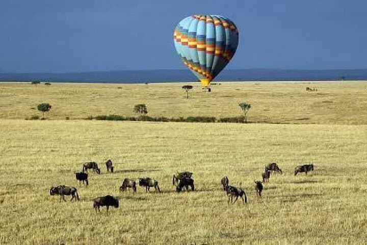 4 Day Masai Mara - Naivasha Safari