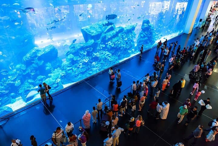 Full-Day Private Tour in Dubai