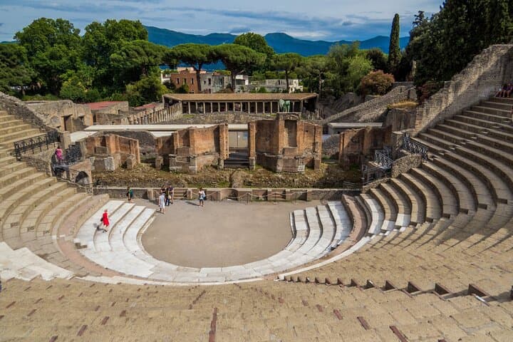 Private Awesome Pompeii Family Tour + Guide, Transport & Tickets