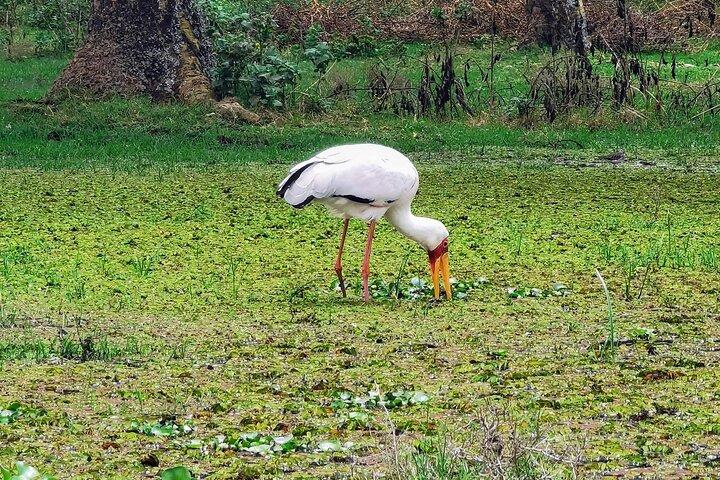 2-Day Private Safari to Lake Nakuru and Hell's Gate Parks