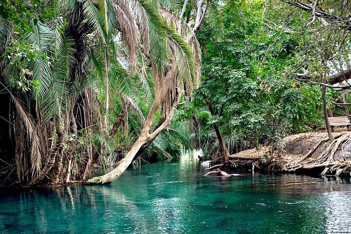 MATERUNI waterfalls, coffe tour & kikuletwa hotsprings