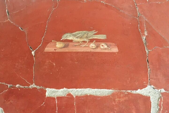 Guided tour of Pompeii