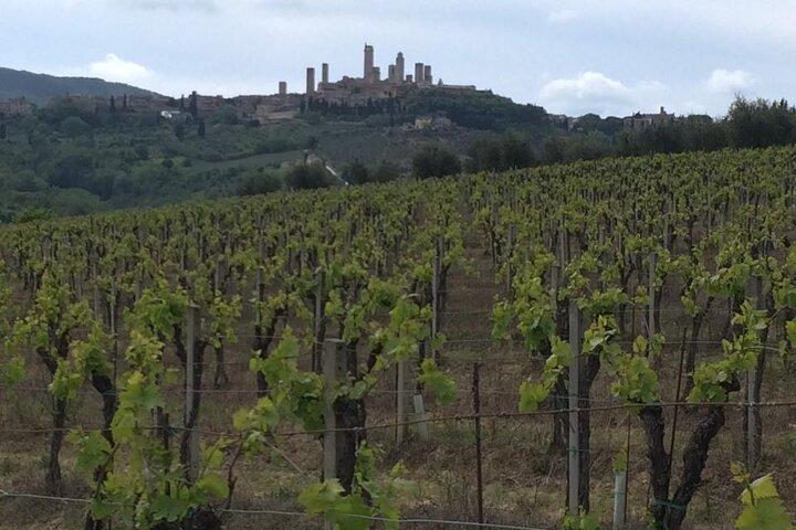 Florence Private Day Trip to Siena and San Gimignano