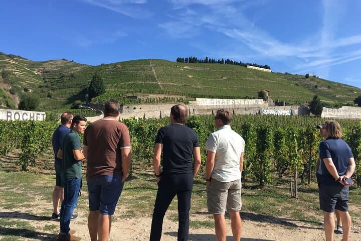 Northern Rhône Valley From Lyon Full day