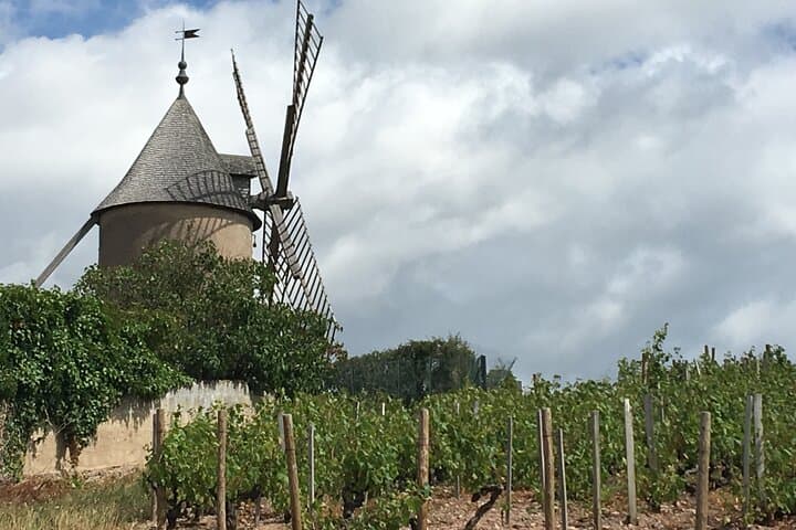 Beaujolais Crus wine tour from Lyon Full day