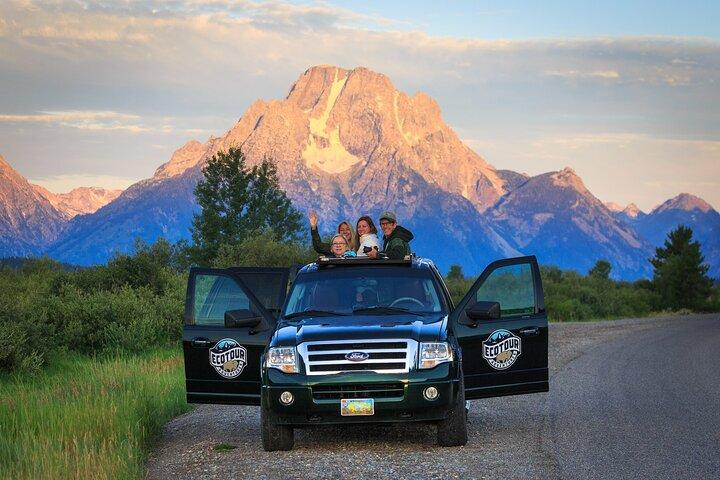 Sunrise 4-Hour Grand Teton Wildlife Adventure