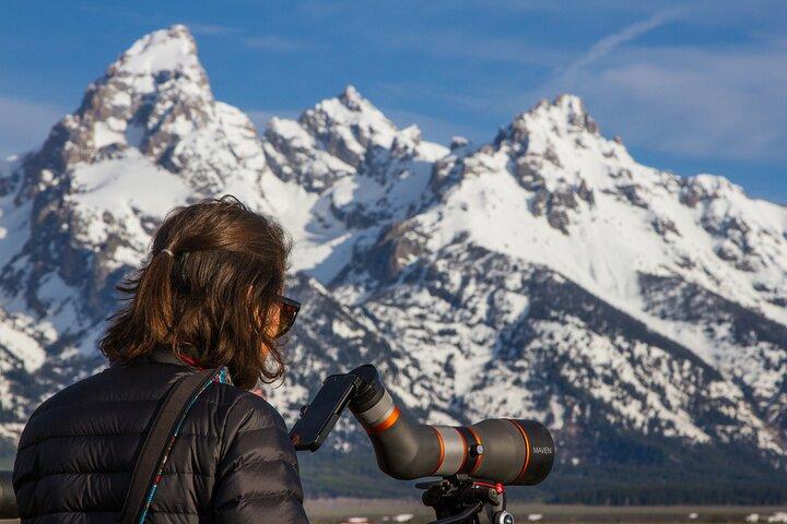 Sunrise 4-Hour Grand Teton Wildlife Adventure