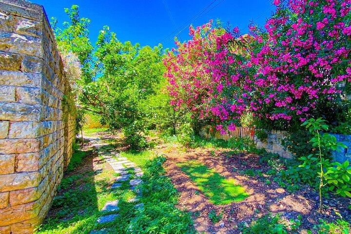 Private Tour to Beiteddine, Deir El Qamar and Cedars from Beirut