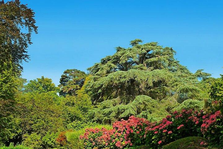 Private Tour to Beiteddine, Deir El Qamar and Cedars from Beirut