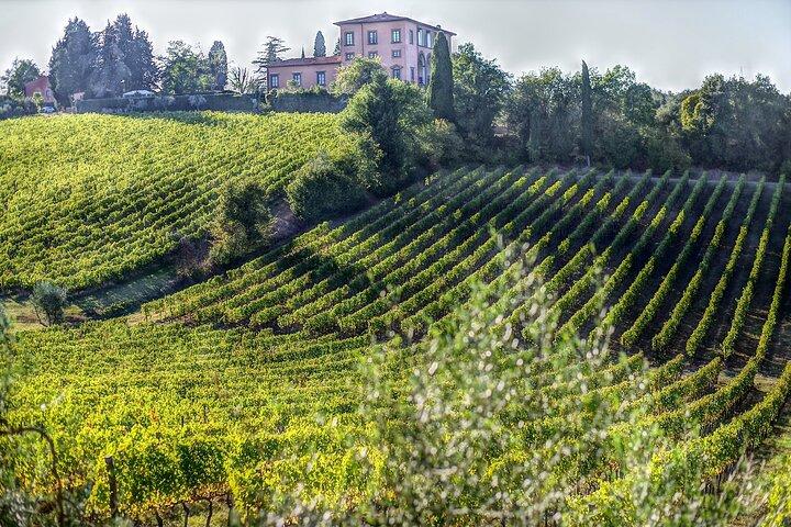PRIVATE Full-Day Wine Experience with lunch in Chianti Classico.
