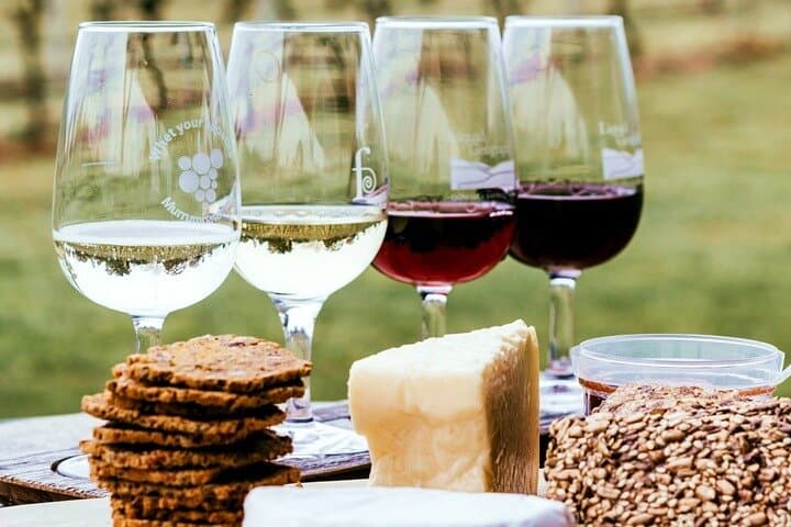 Stellenbosch Winelands Experience