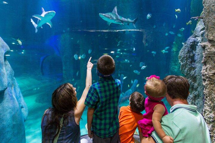 SEA LIFE Aquarium Arizona Admission Ticket