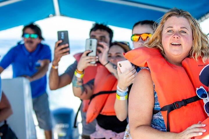 Whale Watching in Cabo San Lucas: Sightseeing Cruise and Shopping