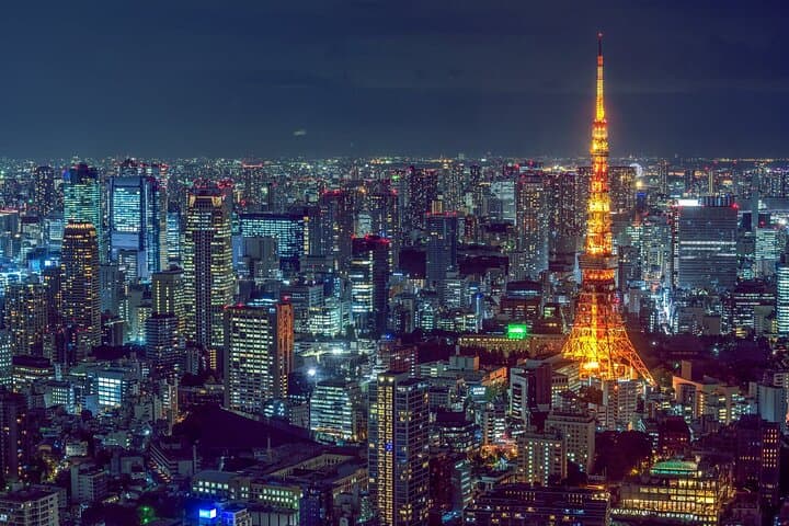 Tokyo City 1-Day Private Tour with Bilingual Driver