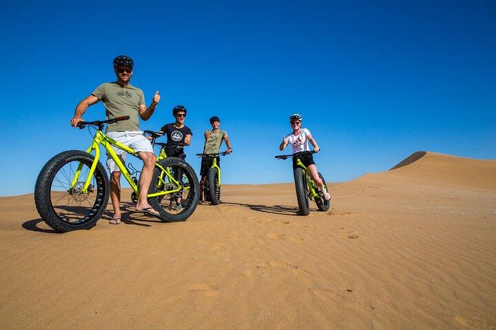Scenic Desert Tour by Bike