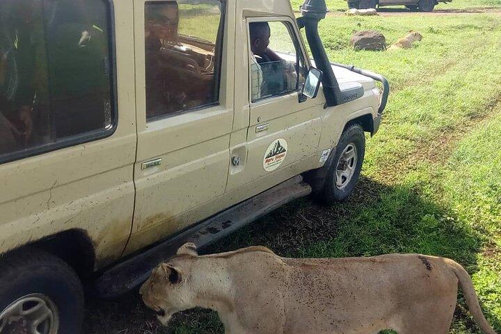 5 Days Camping Tarangire, Serengeti & Ngorongoro crater & Visiting Maasai