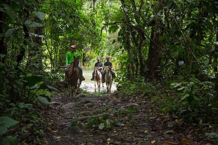 Sarapiqui Forest Horseback Riding Experience in Costa Rica