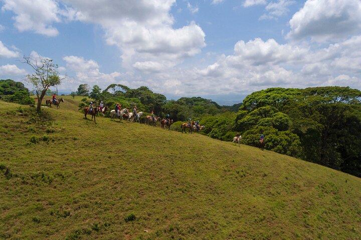 Sarapiqui Forest Horseback Riding Experience in Costa Rica