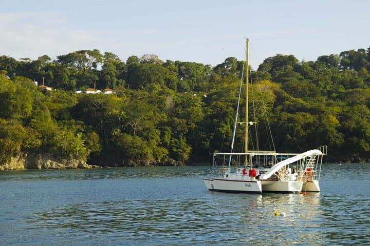 Sunset Sails Tours Morning tours (9am).