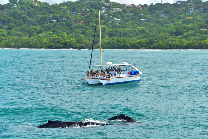 Sunset Sails Tours Morning tours (9am).