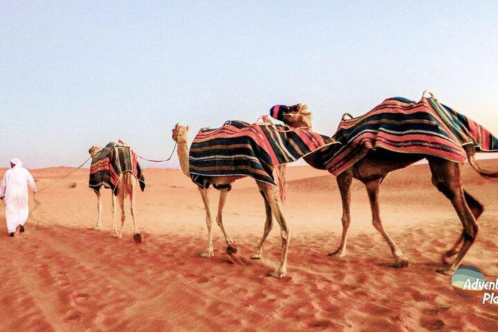 Dubai Desert Safari Experience with Live BBQ Buffet Dinner