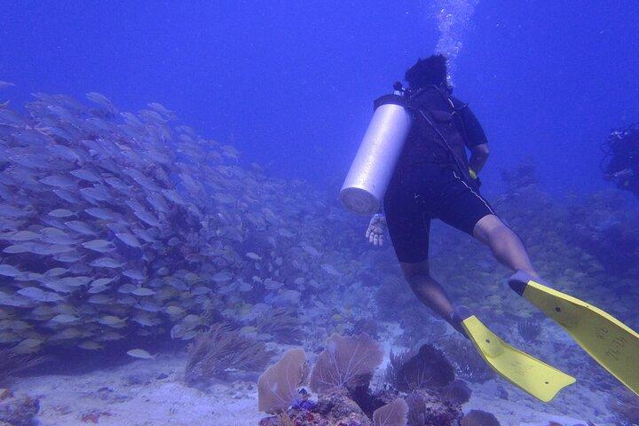 Discover Scuba