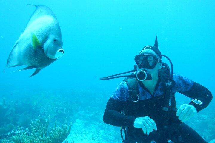 Discover Scuba