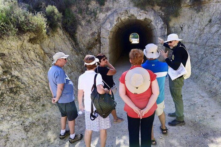 Athens to Ancient Corinth & Nemea | Private Full-Day Guided Tour