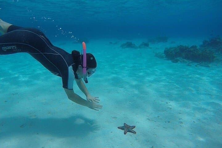 Private Full-day Dhow Cruise to Mnemba Island reef for Snorkeling