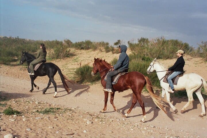 1 hour horse ride on the beach of essaouira