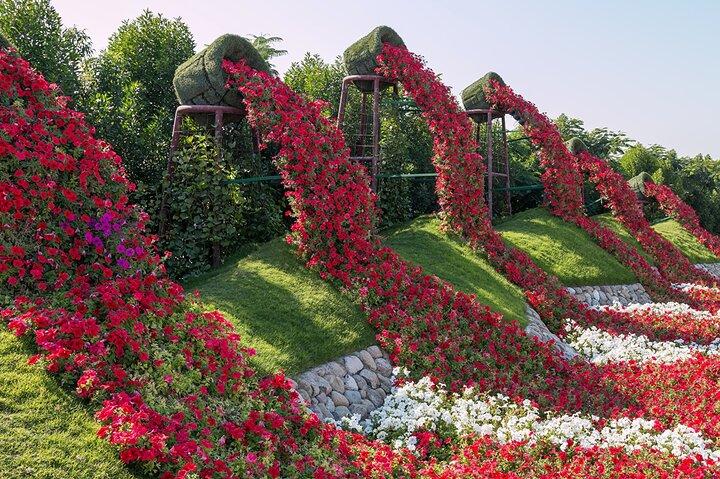 Dubai Miracle Garden Self-Guided Tour with Ticket with Transfer
