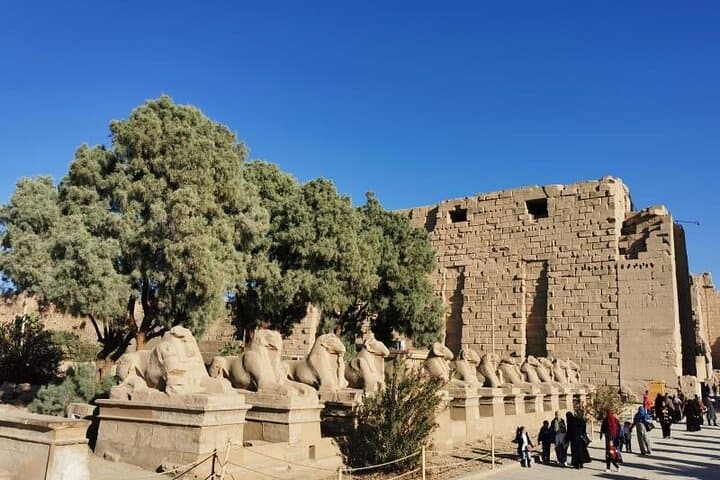 Half Day Luxor East Bank Karnak and Luxor Temples