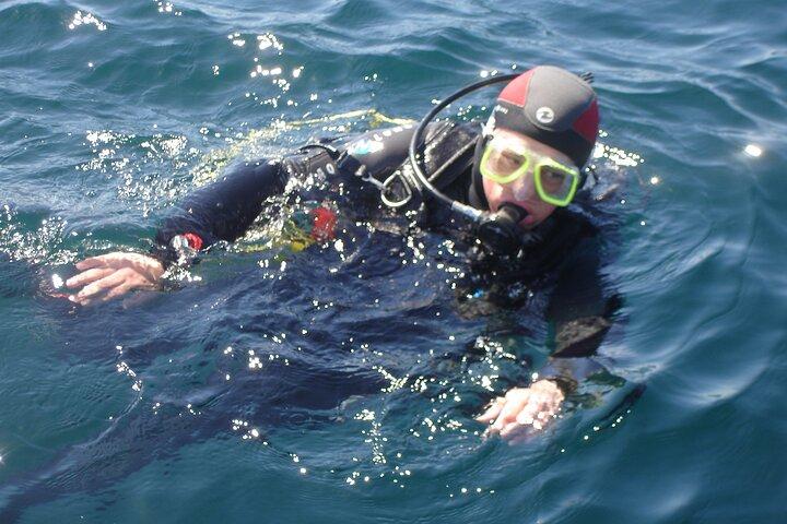 Try Dives - Discover Scuba Diving in Albufeira