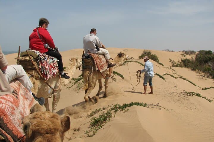3 hours Camel Ride in Essaouira with Dinner and Overnight in Berber Camp