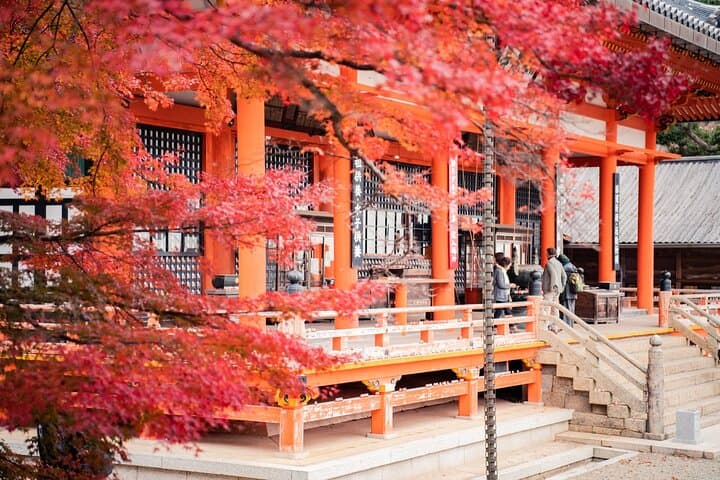 Private Full-Day Kamakura-Enoshima Tour with Bilingual Driver