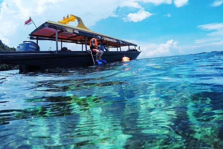 Private Tour: Tioman Island (Sribuat) Reef Snorkel & Summit Hike from Singapore