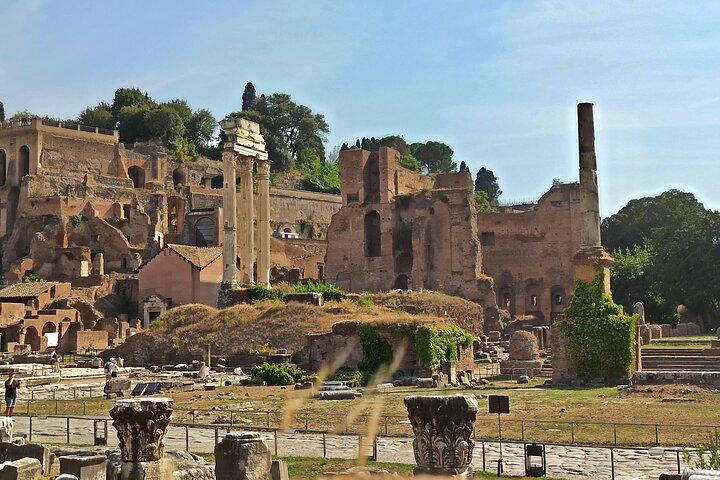 Private Tour of Roman Forum & Palatine Hill