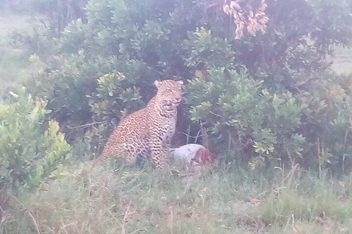 6 Days Safari to Samburu N/R, Aberdare N/P, Nakuru N/P and Maasai Mara N/R.