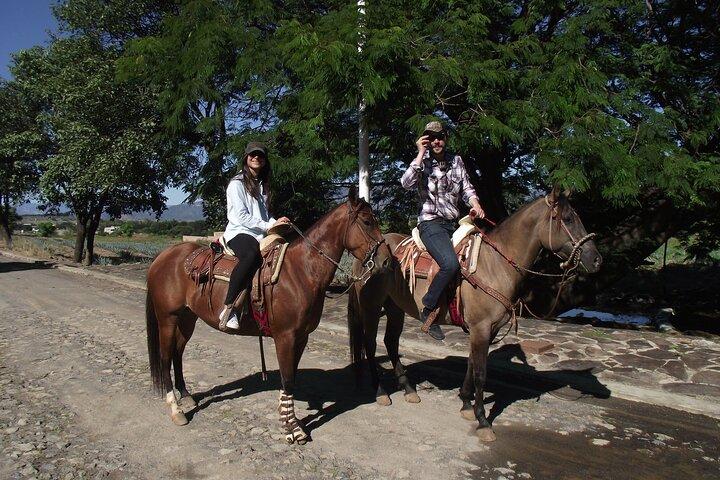 Horseback Riding Tour in The Agave Field with Lunch