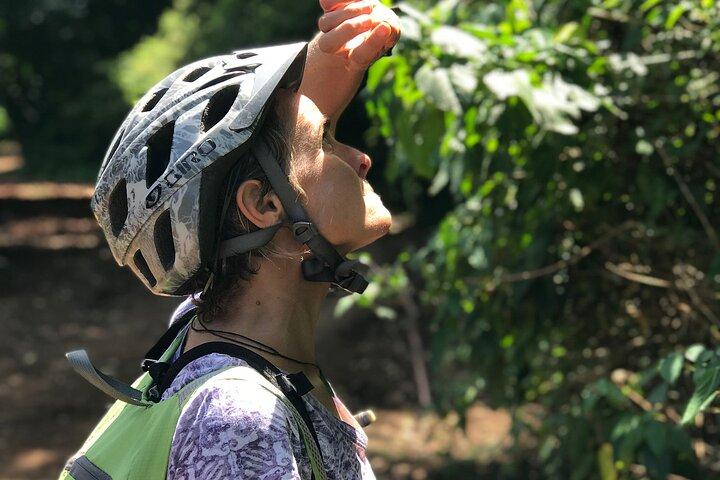 Rau Forest Bike tour
